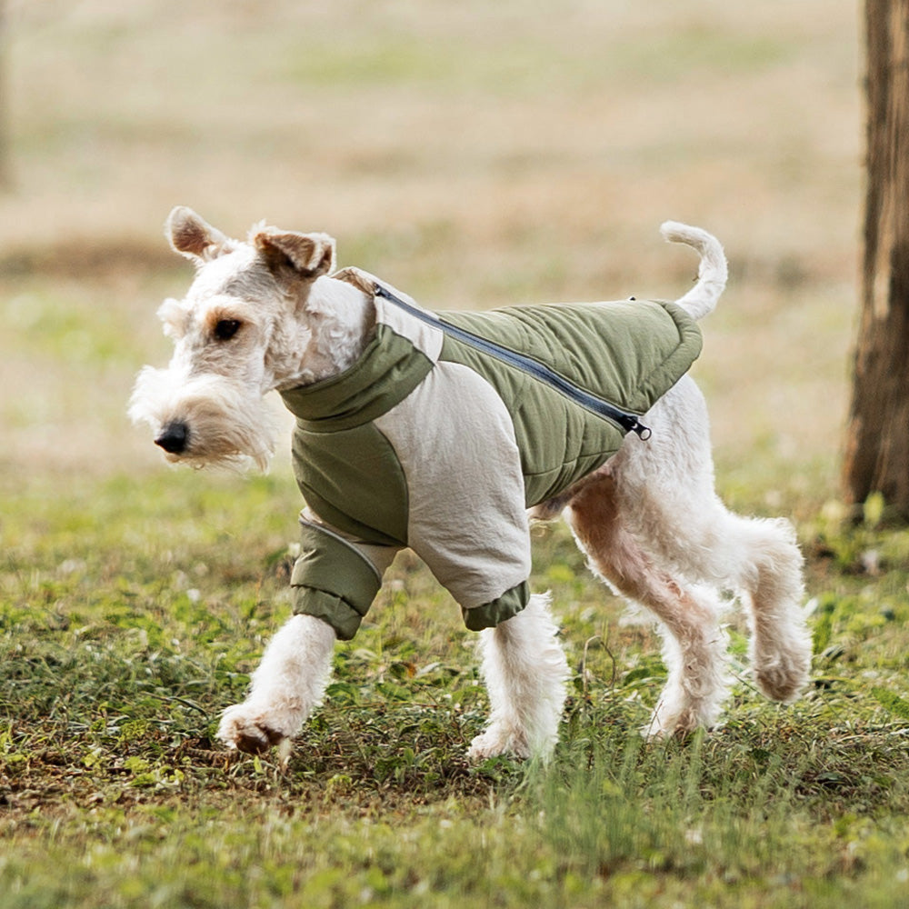 Winter Trail Jacket