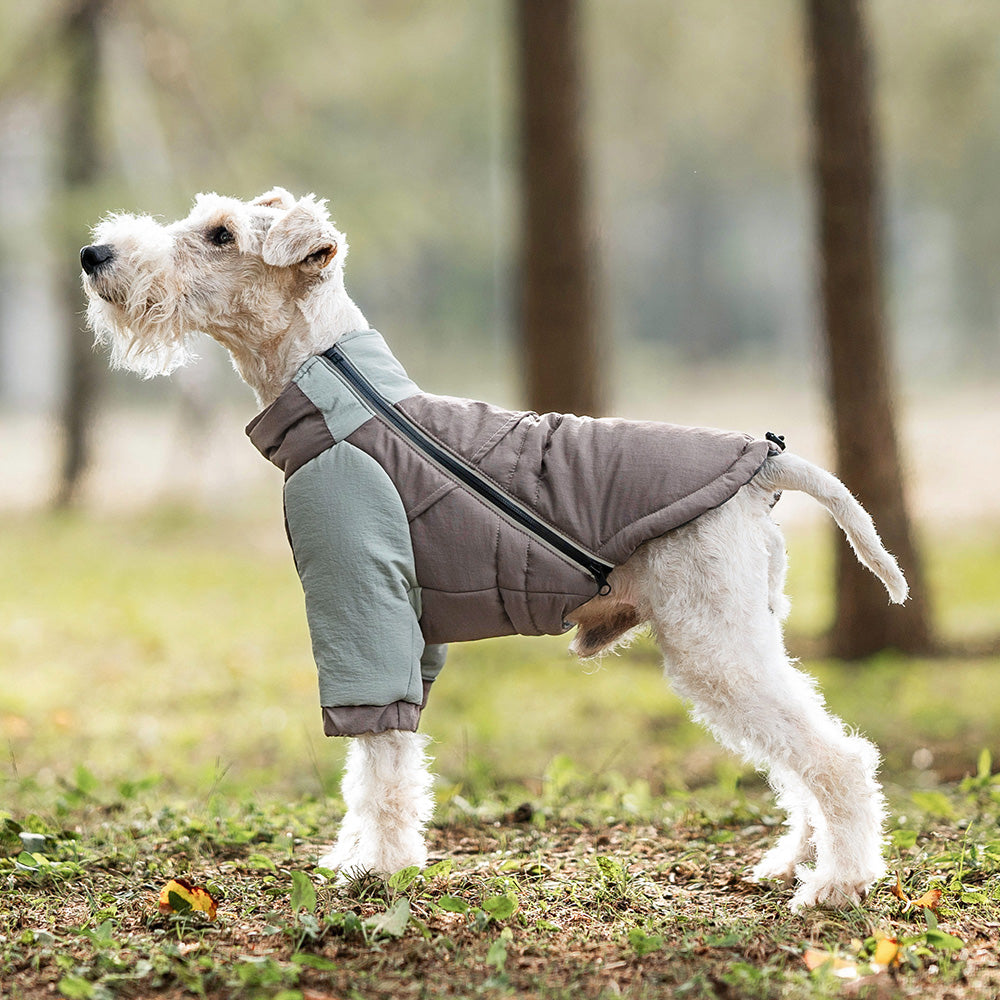 Winter Trail Jacket