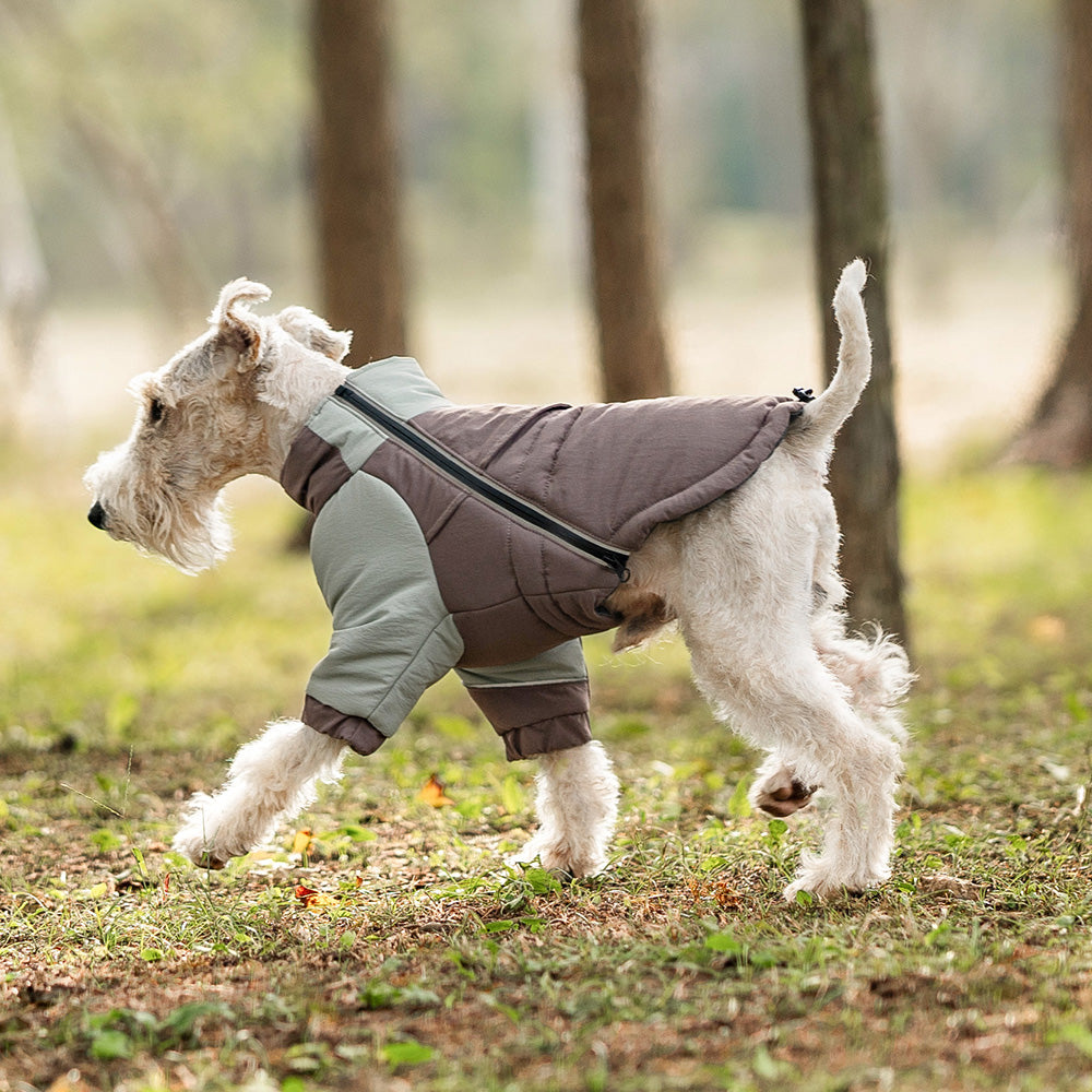 Winter trail jacket for pets, brown and grey padded coat with high collar
