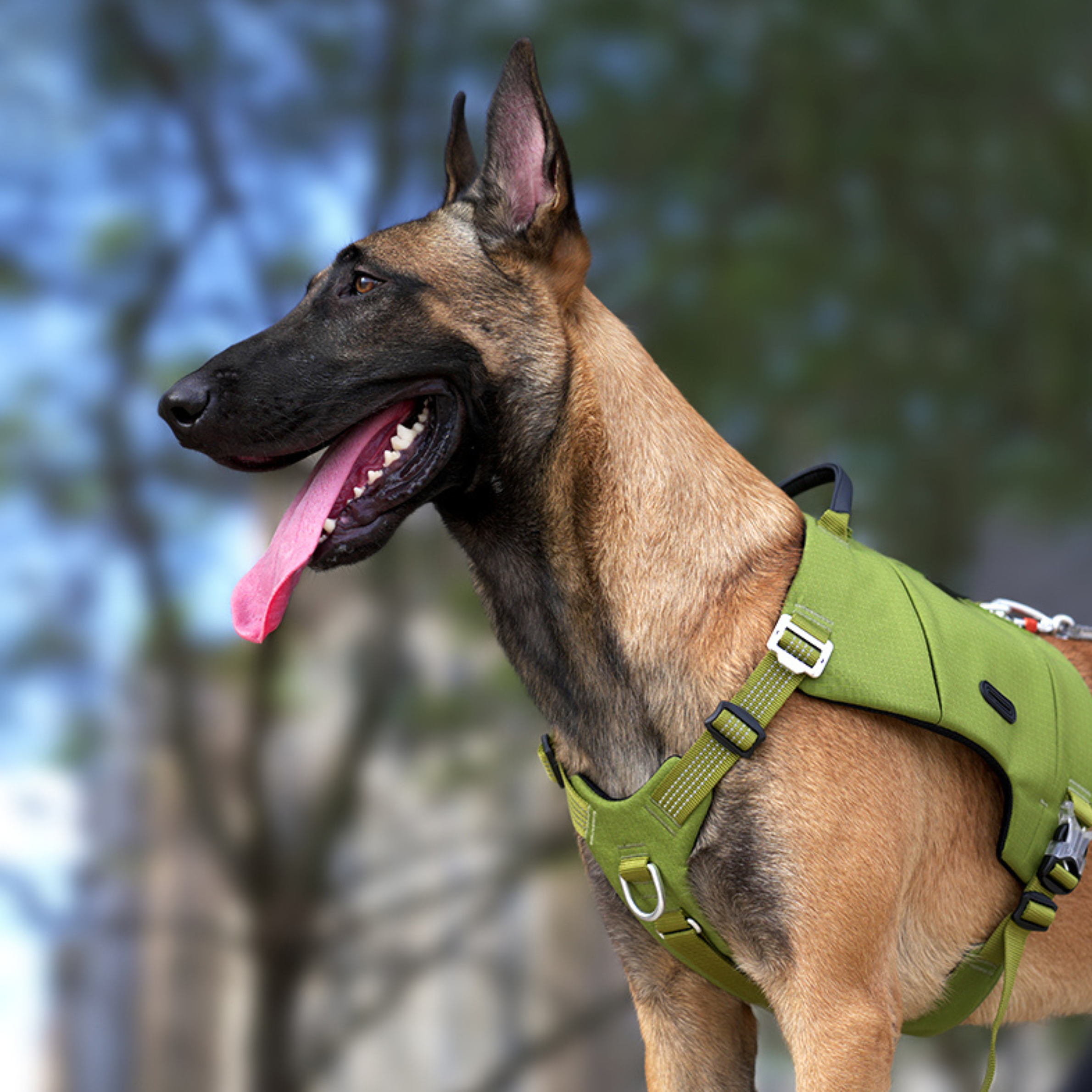 Truelove Tactical Explorer Harness — Olive Green