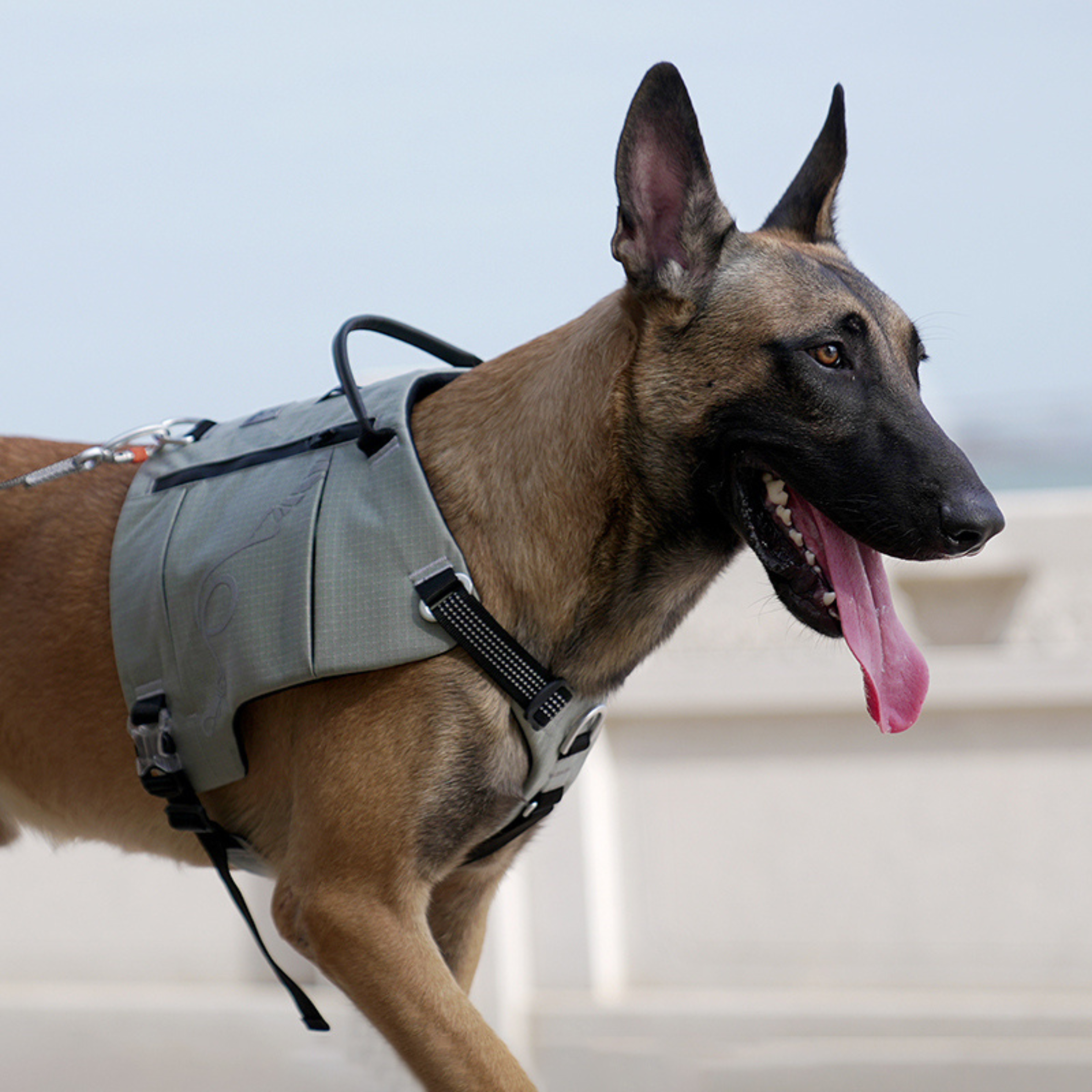 Truelove Tactical Explorer Harness — Ash Grey