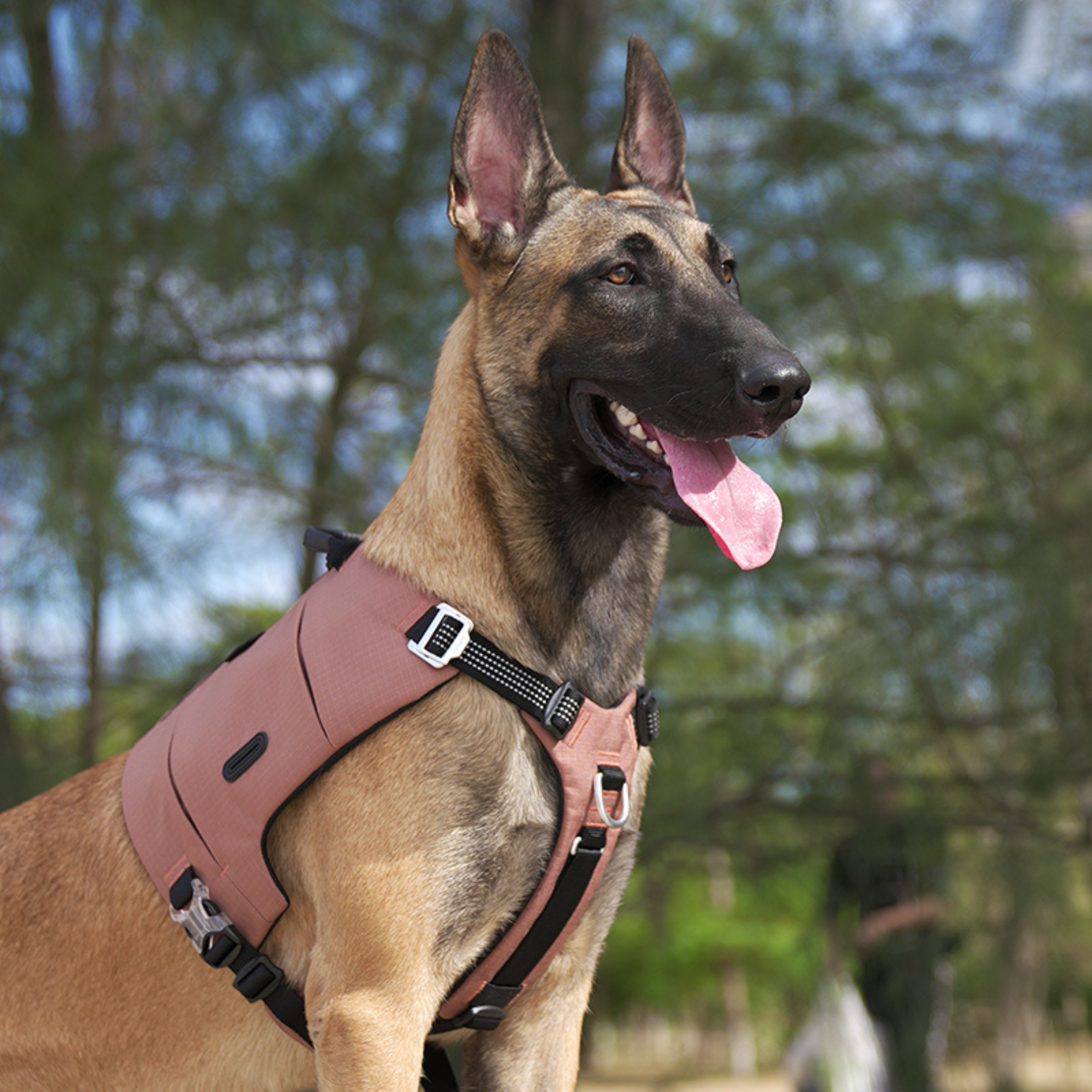 Dog tactical explorer harness in dune brown with padded chest panel and black buckles.