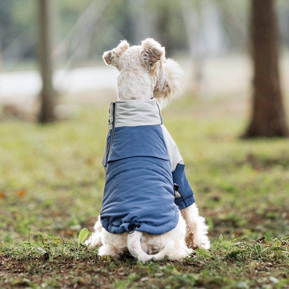 Winter Trail Jacket