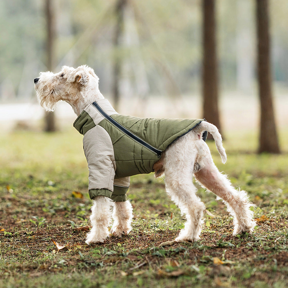 Olive-green dog jacket with front harness strap and leg openings