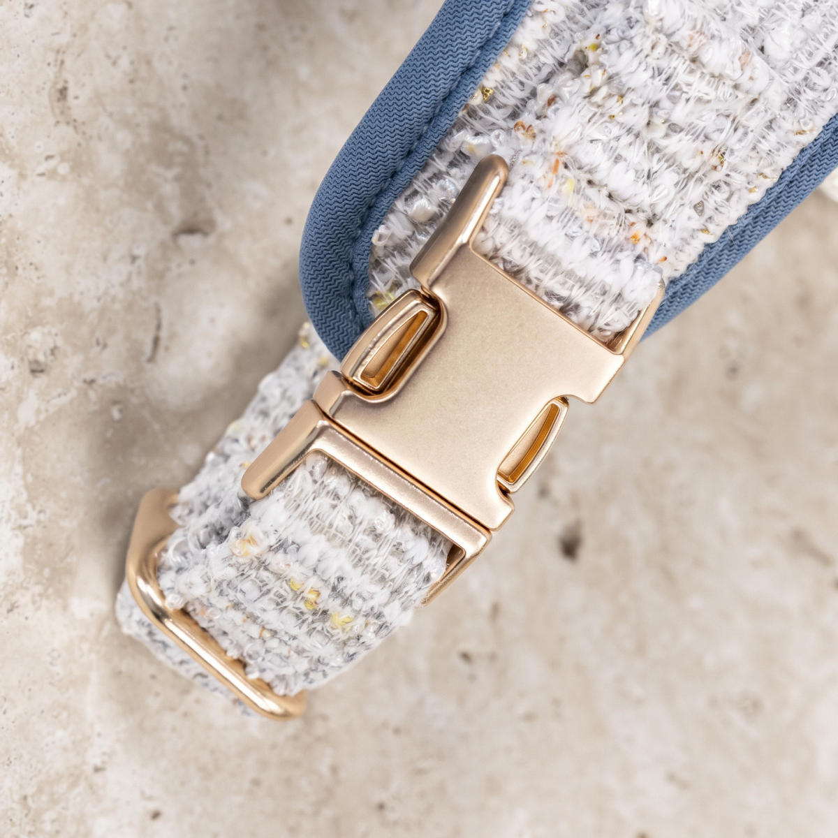 Close-up of dog harness hardware: gold buckles on light blue tweed with blue trim