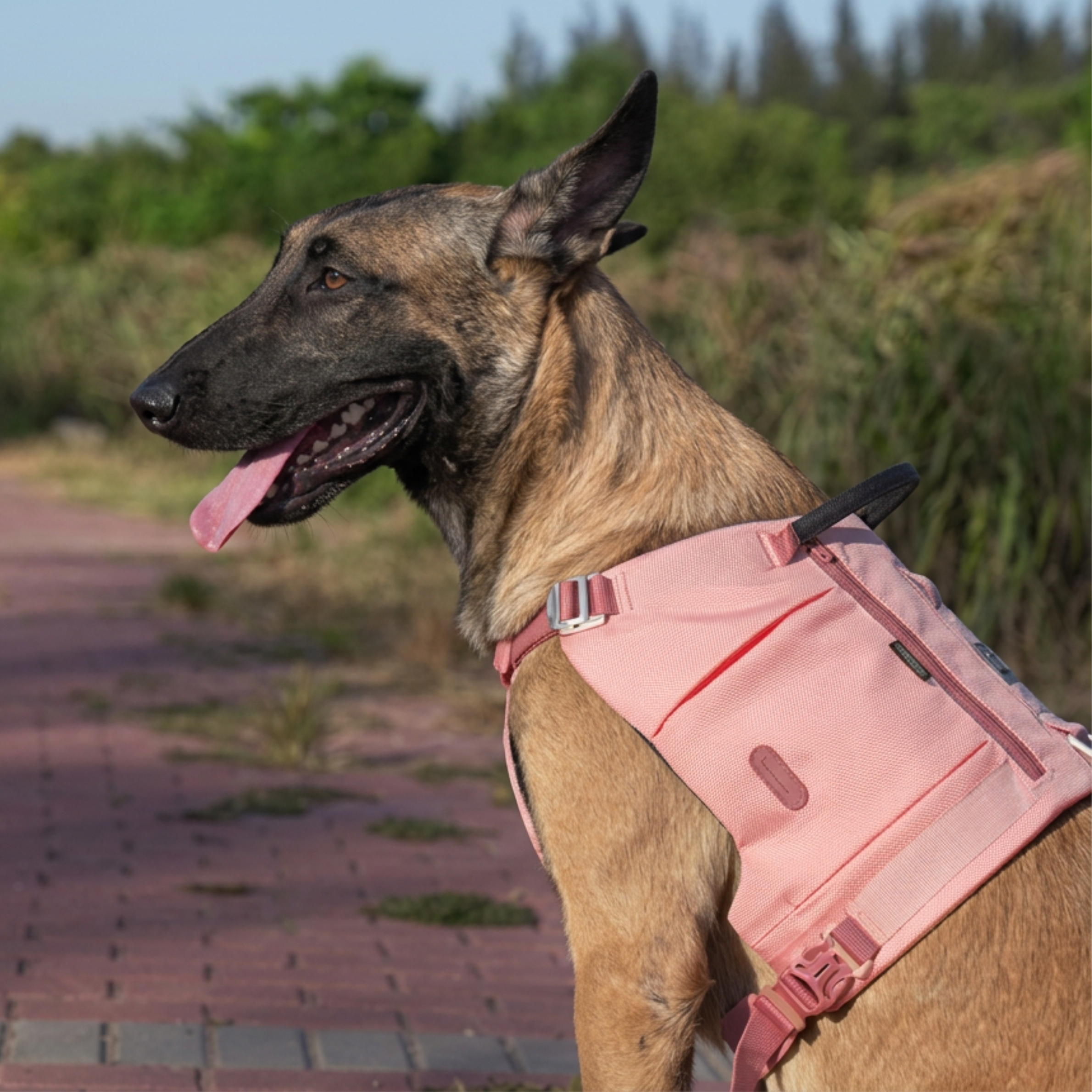 Truelove Tactical Explorer Harness — Blush Pink